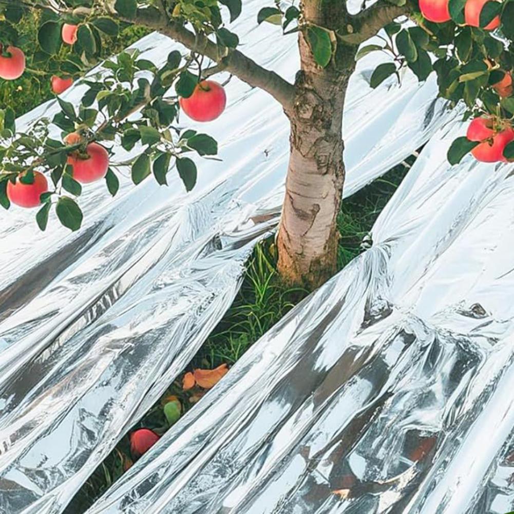 Couverture thermique d'urgence - Emergency Mylar Blanket avis et prix