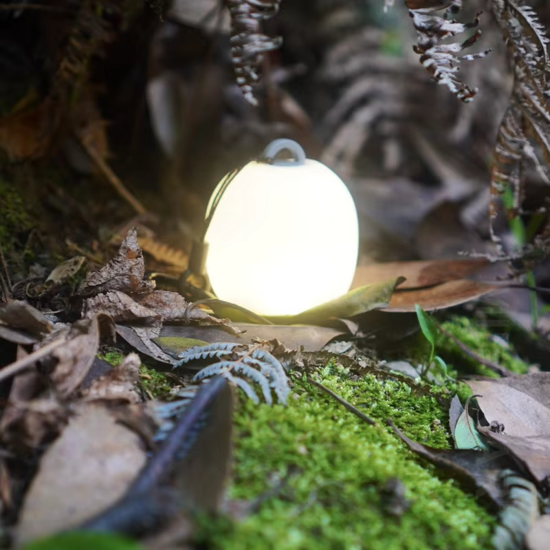 Mini lanterne de camping en si - Outdoor Camping Adventure Lamp avis et prix